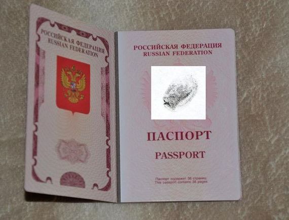 прописка в Новочебоксарске